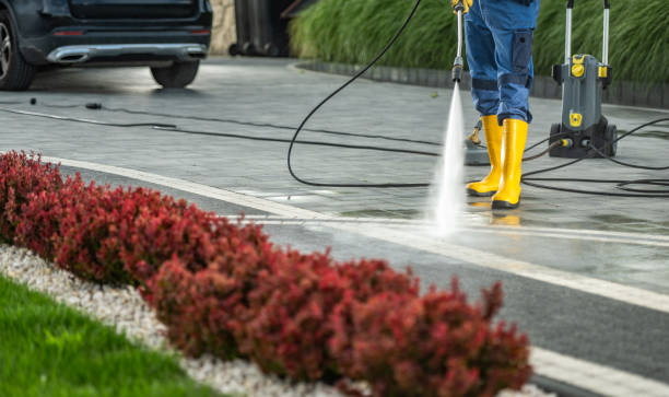 Best Roof Washing  in Seven Points, TX